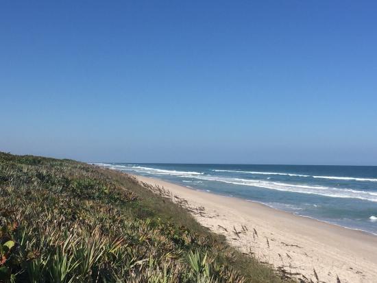 Canaveral National Seashore